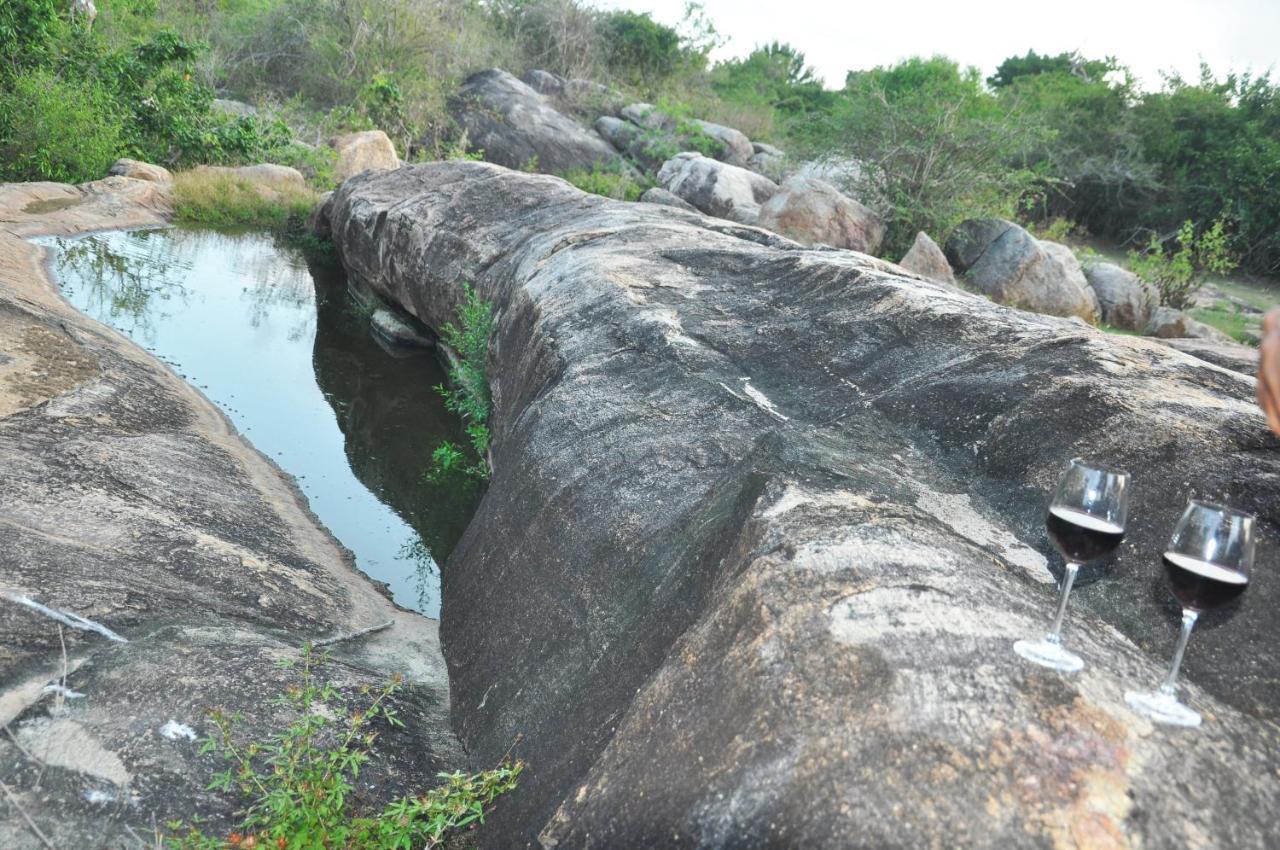 Wild Trails Yala By Suri Hotel Exterior foto