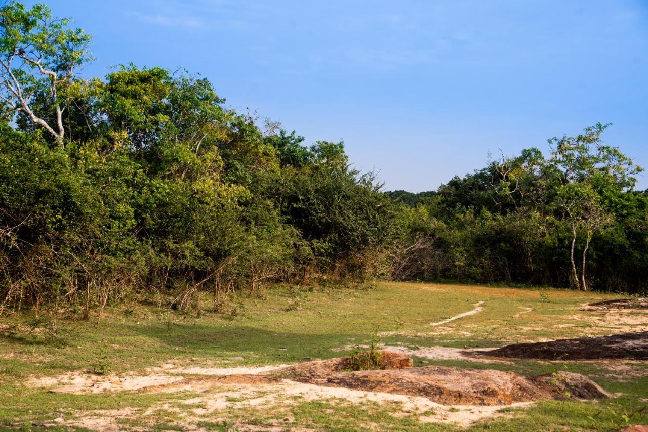 Wild Trails Yala By Suri Hotel Exterior foto
